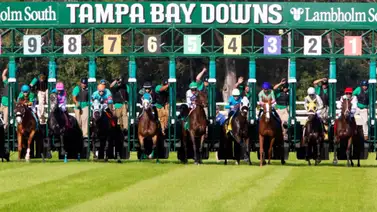 Pick 5 millonario con sabor venezolano de $1,668.60 este sábado en Tampa Bay Downs Pick 5 millonario con sabor venezolano de $1,668.60 este sábado en Tampa Bay Downs