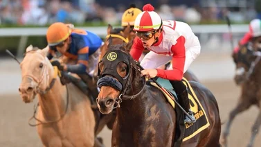 Chileno Mufasa consigue su tercer Graded Stakes y gana el Mr Prospector Stakes G3