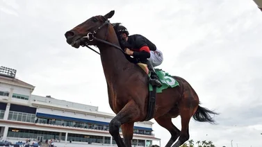 Pick 3 de $88.80 este domingo con jockeys venezolanos en Gulfstream Park