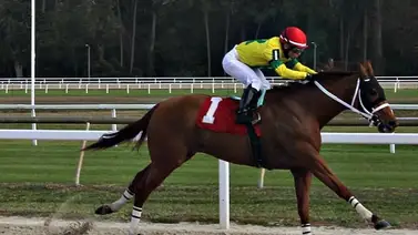 Sonny León gana la última carrera del año en Tampa Bay Downs Sonny León gana la última carrera del año en Tampa Bay Downs