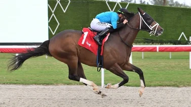 José Francisco D’Angelo gana la última carrera del año en Gulfstream Park