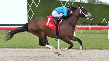José Francisco D’Angelo gana la última carrera del año en Gulfstream Park José Francisco D’Angelo gana la última carrera del año en Gulfstream Park