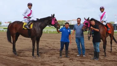 Entrenador Mario Estévez gana dos carreras el fin de semana