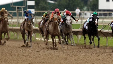 Lunes de cuatro Stakes en Park Racing antes de finalizar el año 