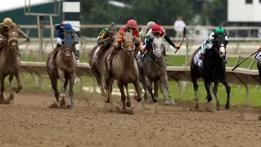 Lunes de cuatro Stakes en Park Racing antes de finalizar el año Lunes de cuatro Stakes en Park Racing antes de finalizar el año