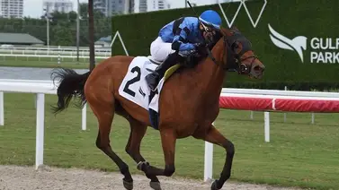 Leonel Reyes Ramos cerró el año con 897 victorias de por vida en los hipódromos de Estados Unidos Leonel Reyes Ramos cerró el año con 897 victorias de por vida en los hipódromos de Estados Unidos