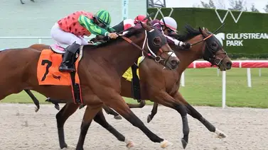 Emisael Jaramillo cerró el 2024 con una producción de más de 55 millones de dólares en ganancia Emisael Jaramillo cerró el 2024 con una producción de más de 55 millones de dólares en ganancia