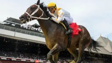 Gustavo Delgado cerró la temporada triunfante Gustavo Delgado cerró la temporada triunfante