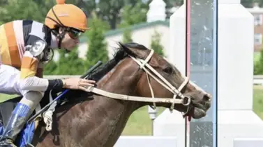 José Armando Bracho suma otra victoria en Mahonning Valley José Armando Bracho suma otra victoria en Mahonning Valley