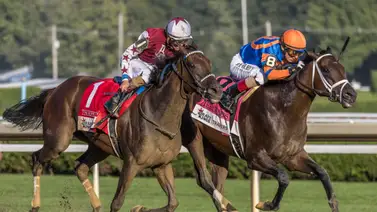 Thorpedo Anna cerró el año igualando a los mejores purasangres Thorpedo Anna cerró el año igualando a los mejores purasangres