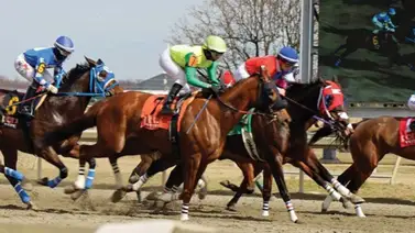 Este 31 de diciembre a pocas horas para que se termine el año este Hipódromo de Estados Unidos tendrá tres Stakes Este 31 de diciembre a pocas horas para que se termine el año este Hipódromo de Estados Unidos tendrá tres Stakes