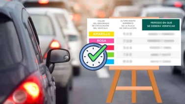 calendario de verificación vehicular CDMX 2025