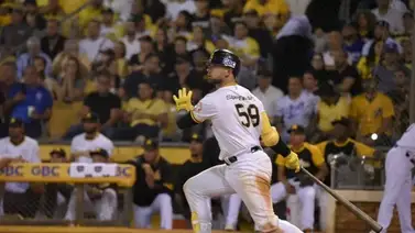 LIDOM: Estos son los líderes de bateo en la pelota invernal dominicana (+Detalles) LIDOM: Estos son los líderes de bateo en la pelota invernal dominicana (+Detalles)