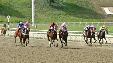 Jinete aprendiz queda fuera de la temporada 2025 por esta razón en La Rinconada Jinete aprendiz queda fuera de la temporada 2025 por esta razón en La Rinconada