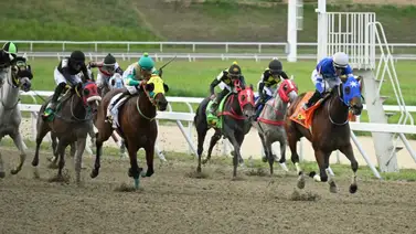 Sanción en La Rinconada: Revelan el motivo de la multa al jinete aprendiz Sanción en La Rinconada: Revelan el motivo de la multa al jinete aprendiz