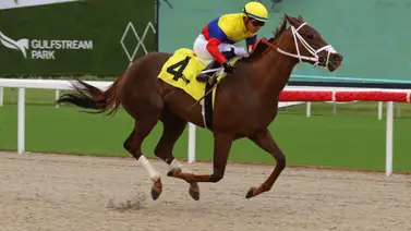 ¡Doble y Liderato! Emisael Jaramillo arranca el meeting de Gulfstream Park con gran ímpetu ¡Doble y Liderato! Emisael Jaramillo arranca el meeting de Gulfstream Park con gran ímpetu
