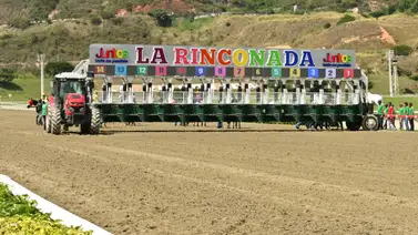 Recta Final: La Rinconada celebra la reunión 47 con una programación de doce pruebas Recta Final: La Rinconada celebra la reunión 47 con una programación de doce pruebas