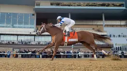 El Cigar Mile Stakes GII es este sábado en Aqueduct