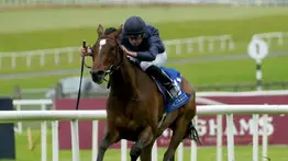 Uno de los mejores jockeys del mundo vuelve este miércoles