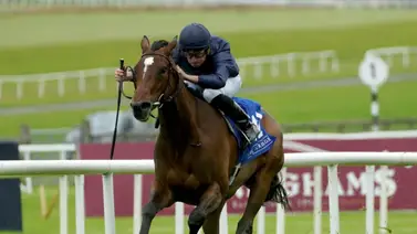 Uno de los mejores jockeys del mundo vuelve este miércoles Uno de los mejores jockeys del mundo vuelve este miércoles