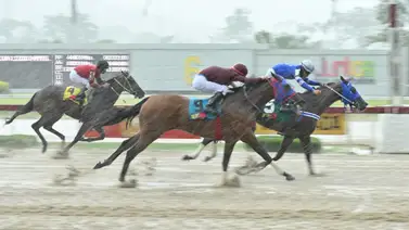 La cuenta pendiente: La Rinconada recibe a la yegua que le falló a la fanaticada en su última salida La cuenta pendiente: La Rinconada recibe a la yegua que le falló a la fanaticada en su última salida