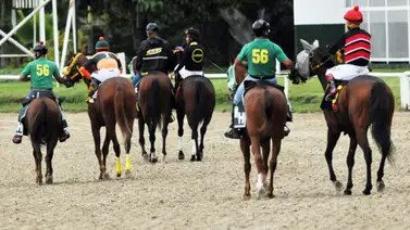 El fruto del trabajo: Ejemplar bien trabajado salta a la pista de La Rinconada con serias aspiraciones El fruto del trabajo: Ejemplar bien trabajado salta a la pista de La Rinconada con serias aspiraciones