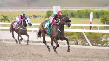 ¿Mantendrá la Velocidad?: Yegua con casi dos años sin correr vuelve a la pista de La Rinconada ¿Mantendrá la Velocidad?: Yegua con casi dos años sin correr vuelve a la pista de La Rinconada