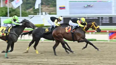 El ejemplar que "Luce Un Mundo" vuelve a competir tras cinco meses de ausencia en La Rinconada El ejemplar que "Luce Un Mundo" vuelve a competir tras cinco meses de ausencia en La Rinconada