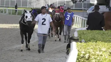 La Rinconada: Anuncian el primer retiro de la reunión 47 del próximo domingo La Rinconada: Anuncian el primer retiro de la reunión 47 del próximo domingo