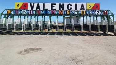 Retiros oficiales: Estos son los dos ejemplares que no correrán este sábado en Valencia Retiros oficiales: Estos son los dos ejemplares que no correrán este sábado en Valencia