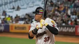 LVBP: Sigue cada jugada del partido Leones vs Tigres (En vivo)