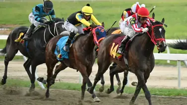 Al momento de sellar: Descubre el ajuste de la línea de Gaceta Hípica que podría convertir tu 5y6 en un ticket ganador Al momento de sellar: Descubre el ajuste de la línea de Gaceta Hípica que podría convertir tu 5y6 en un ticket ganador