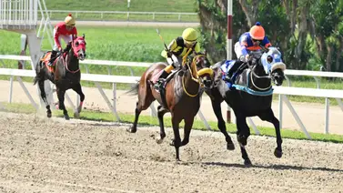 Epa Manolo no comas cuento que a pesar del tiempo que tiene sin correr esto es lo más fijo para el 5y6 dominical Epa Manolo no comas cuento que a pesar del tiempo que tiene sin correr esto es lo más fijo para el 5y6 dominical