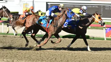 Asegura tu cuadro: Entérate del ajuste de la gran opción de Gaceta Hípica que garantizará tu acierto en el 5y6 Asegura tu cuadro: Entérate del ajuste de la gran opción de Gaceta Hípica que garantizará tu acierto en el 5y6