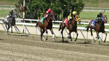 El 'Caballo Sorpresa': Un ajuste de impacto en La Rinconada lo mete en la pelea este domingo El 'Caballo Sorpresa': Un ajuste de impacto en La Rinconada lo mete en la pelea este domingo