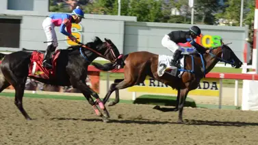 Presta atención: En La quinta carrera de la Rinconada se presenta un retiro de último momento Presta atención: En La quinta carrera de la Rinconada se presenta un retiro de último momento