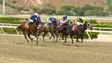 Segunda de la reaparecida: El ajuste que puede definir la primera válida en la jornada de La Rinconada Segunda de la reaparecida: El ajuste que puede definir la primera válida en la jornada de La Rinconada