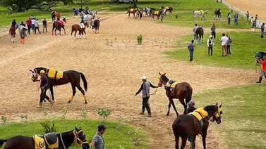 Estos son los retirados de la Reunión N°24 en Valencia 06-12-2025 Estos son los retirados de la Reunión N°24 en Valencia 06-12-2025