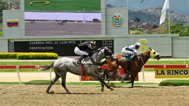 La Rinconada: La razón por la que el favorito es imperdible y su ajuste contenido lo ratifica La Rinconada: La razón por la que el favorito es imperdible y su ajuste contenido lo ratifica