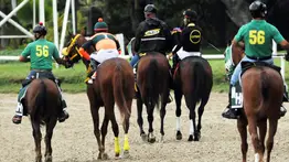  La Rinconada: Estos son los retirados de la reunión N°47 del 07-12-2025 