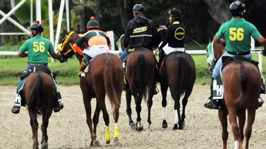 La Rinconada: Estos son los retirados de la reunión N°47 del 07-12-2025 La Rinconada: Estos son los retirados de la reunión N°47 del 07-12-2025