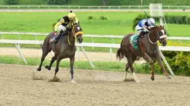 1.200 metros clave: El ajuste veloz que posiciona a esta yegua como principal rival de la línea nacional 1.200 metros clave: El ajuste veloz que posiciona a esta yegua como principal rival de la línea nacional