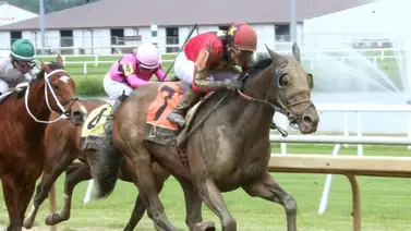 El venezolano José Francisco D'Angelo asume el entrenamiento de Brotha Keny, vendido por cifra récord en subasta El venezolano José Francisco D'Angelo asume el entrenamiento de Brotha Keny, vendido por cifra récord en subasta
