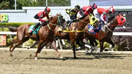 Lo que todos esperan: Revelamos los ejemplares con mucha fuerza y la jugada larga para la R47