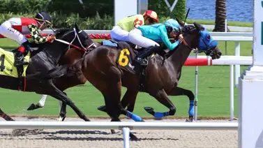 Aprendiz puertorriqueña consigue su primera victoria en Aqueduct Aprendiz puertorriqueña consigue su primera victoria en Aqueduct