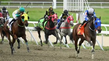 La opción maestra: Este es el dato más corrido que es indescartable para el 5y6 La opción maestra: Este es el dato más corrido que es indescartable para el 5y6