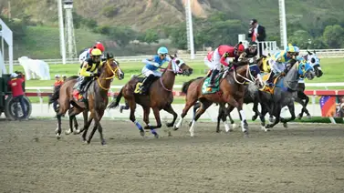 La Rinconada: Datos de Última Hora para el 07-12-2025 La Rinconada: Datos de Última Hora para el 07-12-2025