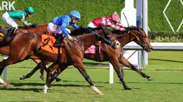 El “Lobo” Jaramillo comanda legión venezolana el domingo en Gulfstream Park