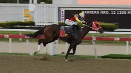 Histórico triunfo argentino en La Rinconada: La yegua Benicia gana y quiebra una racha de medio siglo