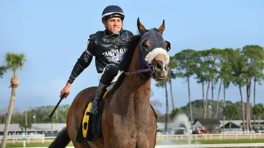Jinetes venezolanos dominan la jornada en Tampa Bay Downs con seis victorias Jinetes venezolanos dominan la jornada en Tampa Bay Downs con seis victorias